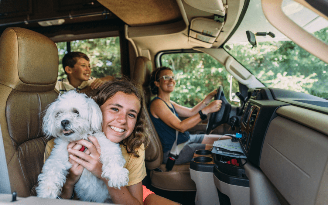 RVing with Pets