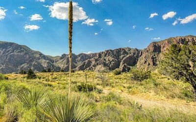 Must See Attractions in Bryan & College Station, TX: Exploring Tradition, Wine, History and Nature.