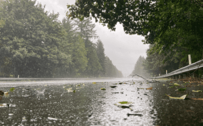 Rainy Day Blues: What To Do When The Weather Doesn’t Cooperate