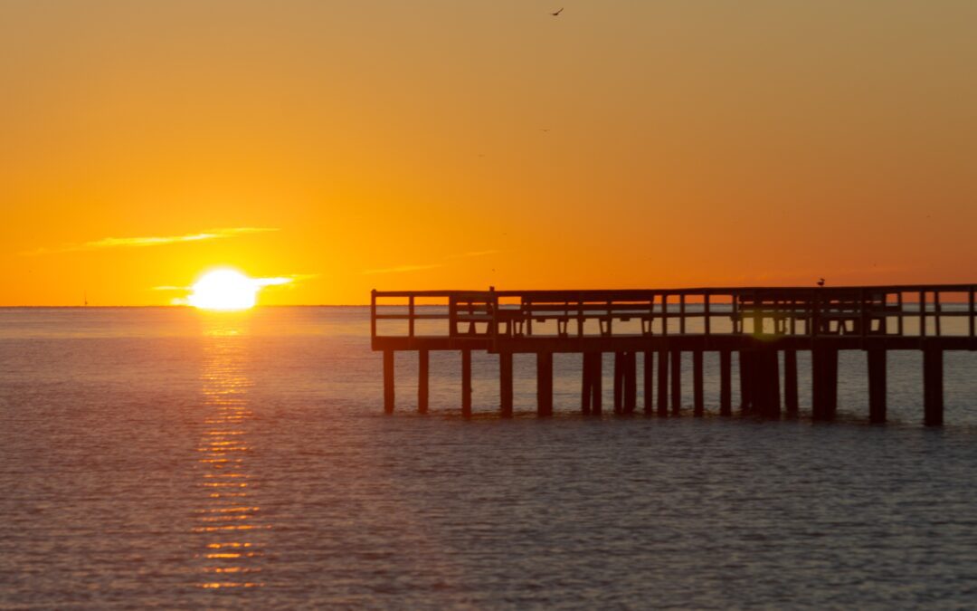 Snowbirding in Texas: Discover Your New Winter Haven