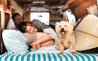 How to be a Responsible Pet Owner in a Pet-Friendly RV Park.