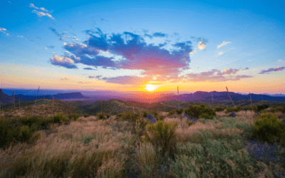 Deep in the Heart of Texas: Celebrating National Park Week