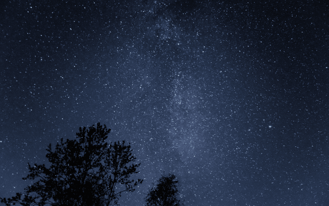 Winter Stargazers Guide: Discovering the Night Sky in Bryan/College Station