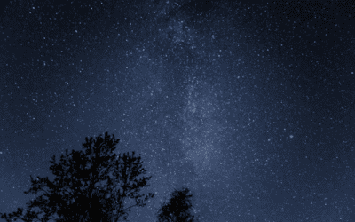 Winter Stargazers Guide: Discovering the Night Sky in Bryan/College Station