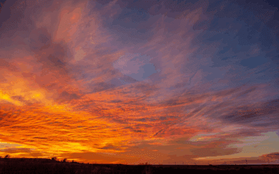 Night Skies & Fireflies: Summer Evenings at the RV Park