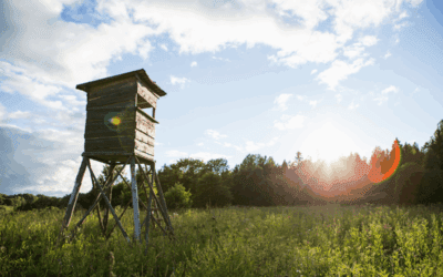 A Hunter’s Guide to the Brazos Valley