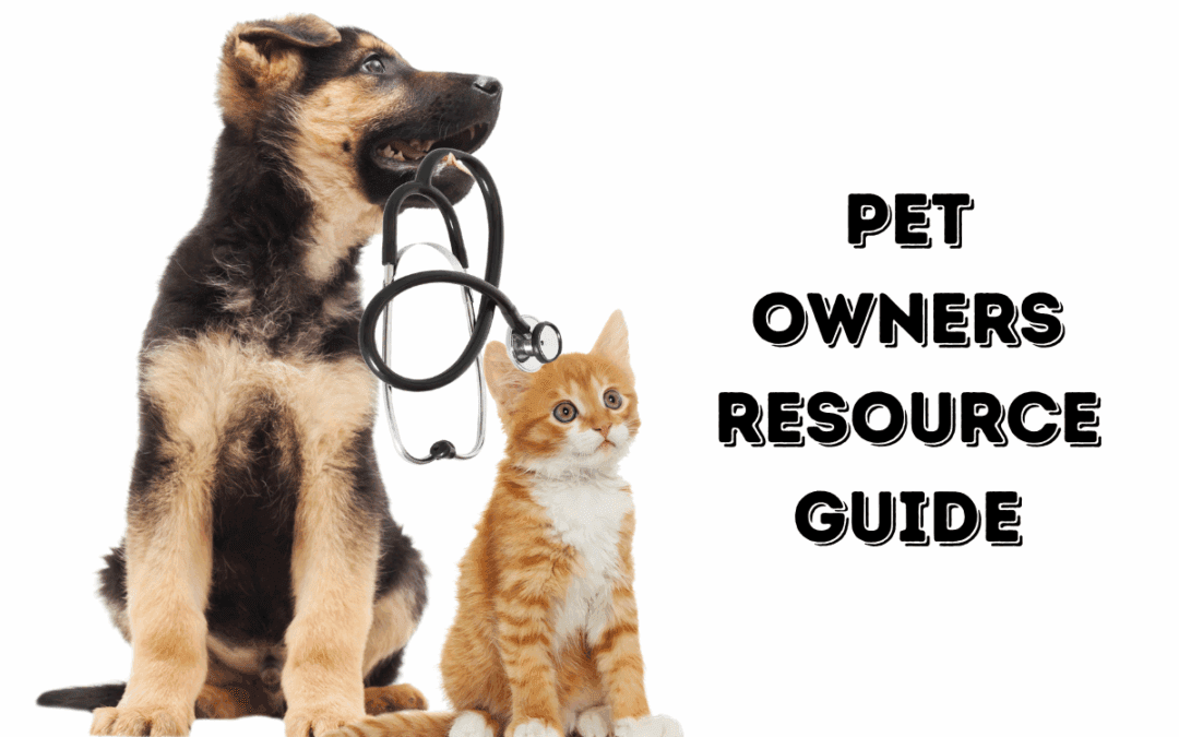Pet Owner’s Guide to Bryan-College Station: Local Vets, Stores & Services You’ll Love