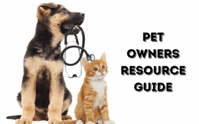 Pet Owner’s Guide to Bryan-College Station: Local Vets, Stores & Services You’ll Love