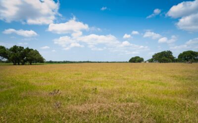 Summer Starts Here: Things to Do in Bryan-College Station This Summer